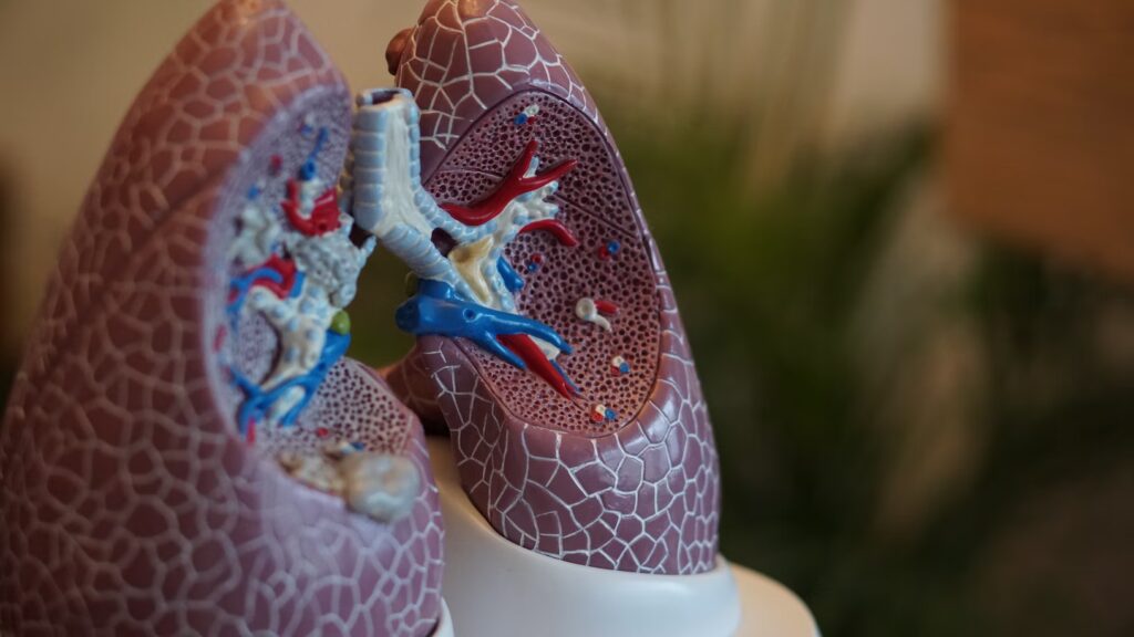 10 consejos fáciles para mantener la salud pulmonar